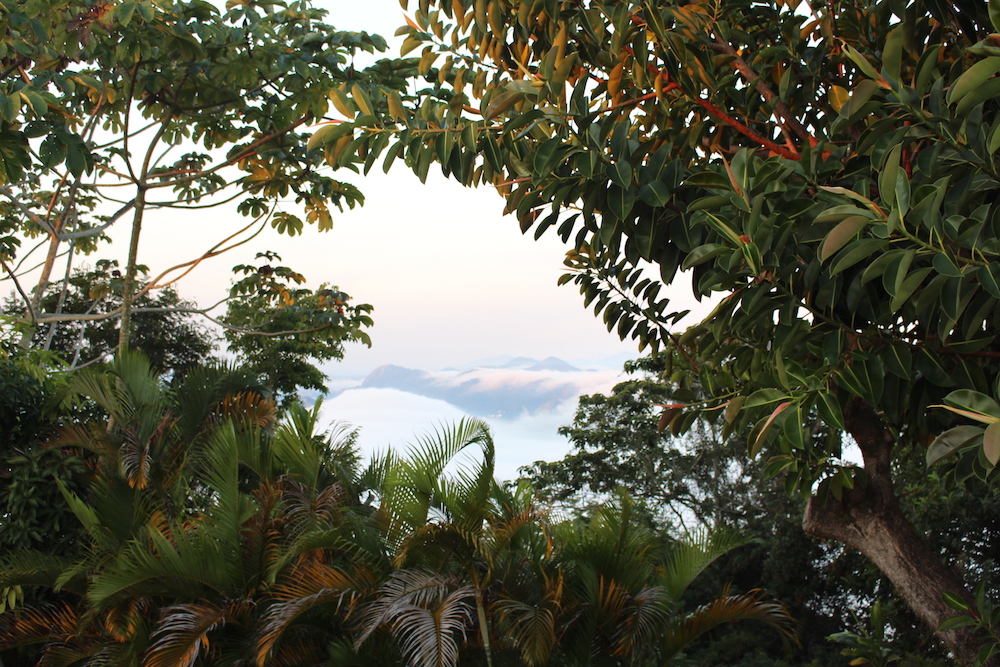 rio-5